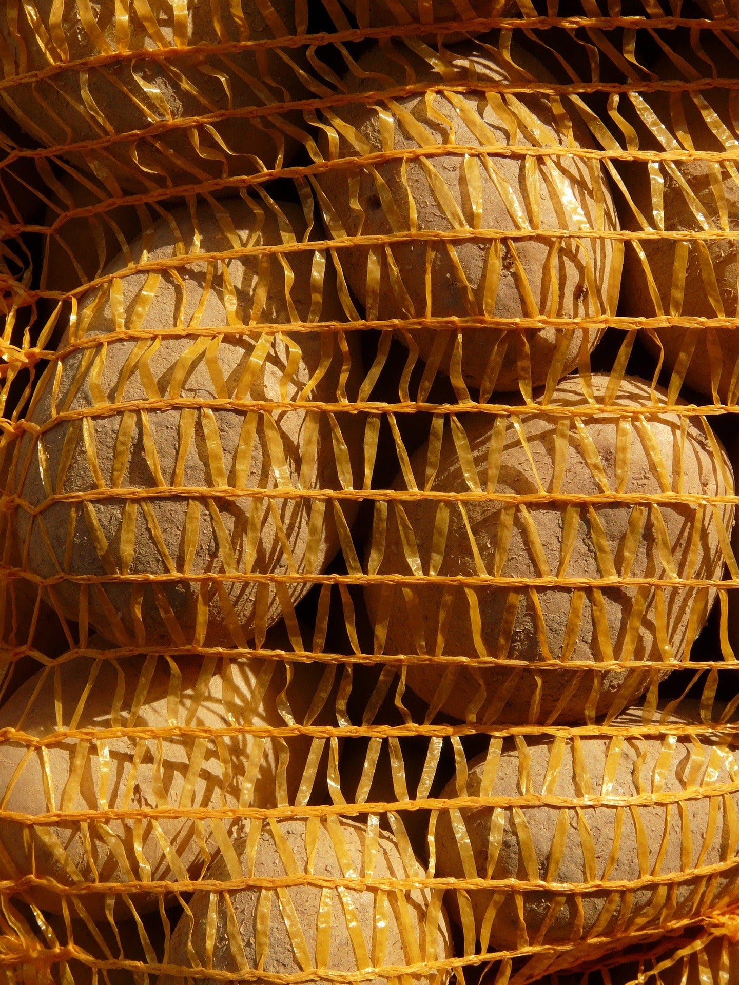 Agria potatoes in 10kg bag