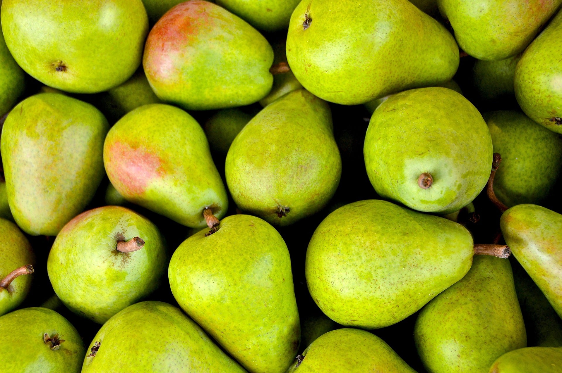 Pear conference