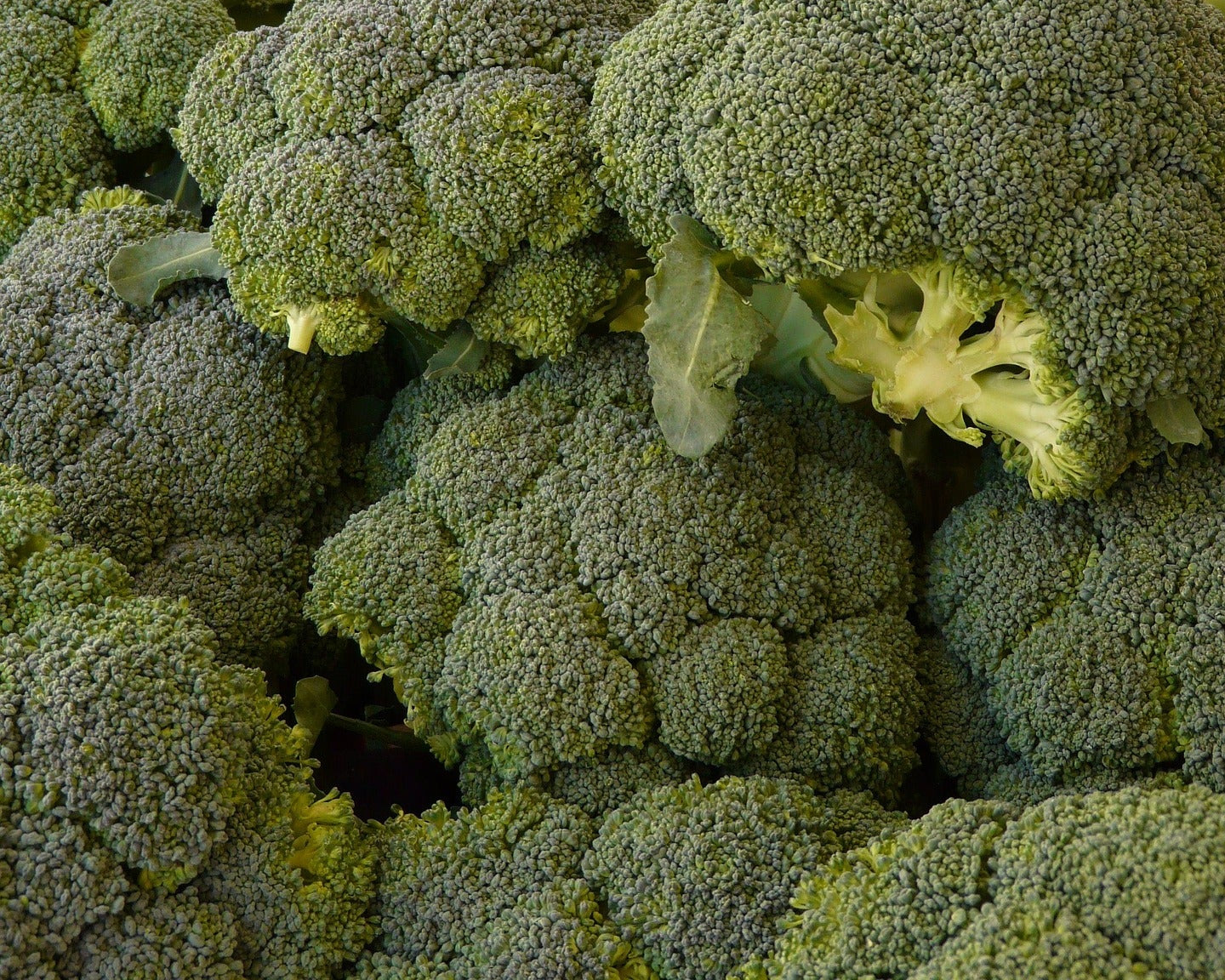 Close-up of fresh broccoli and cauliflower heads in a produce setting.