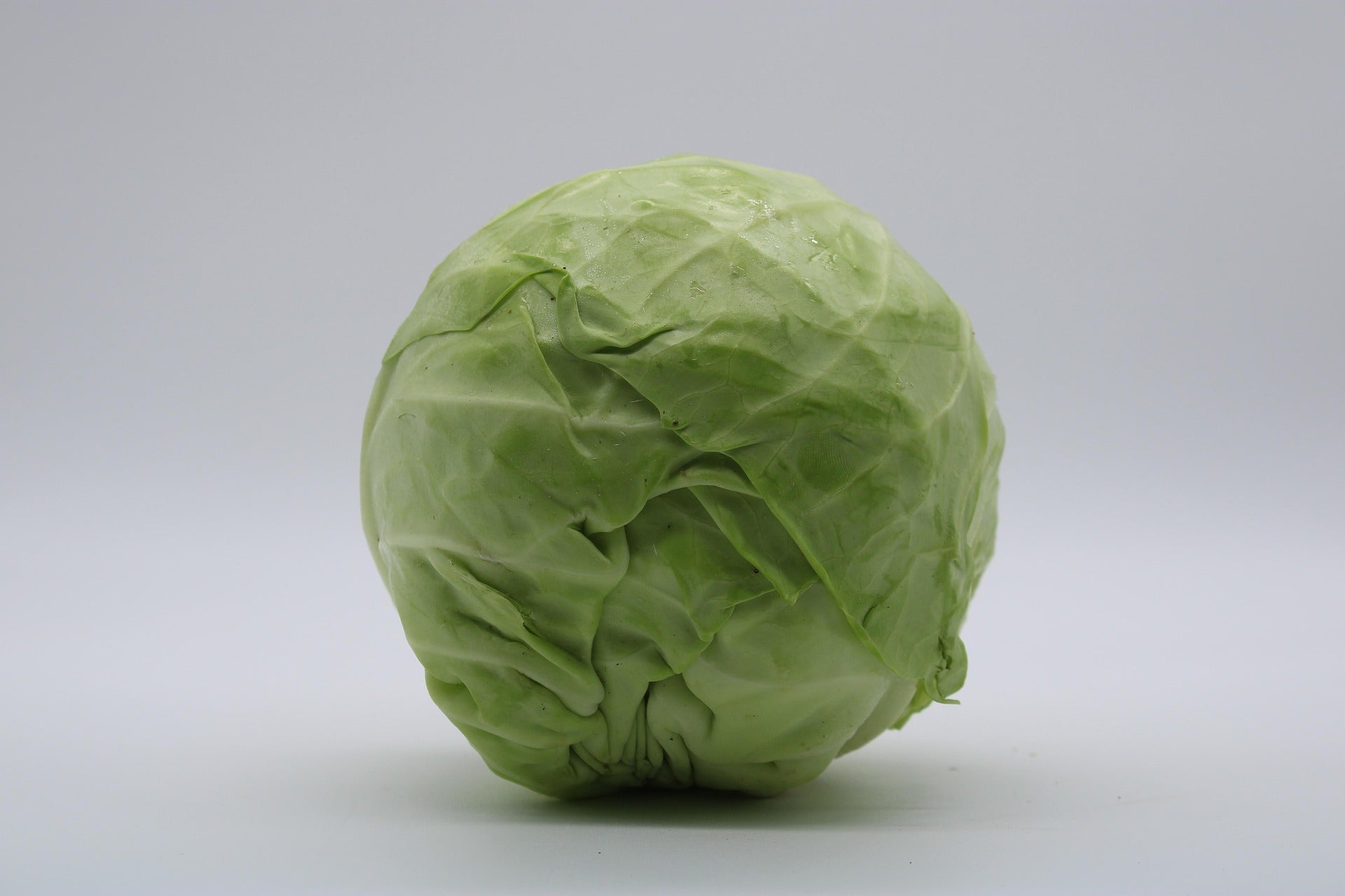 A whole light green cabbage head photographed upright against a plain light gray studio background.