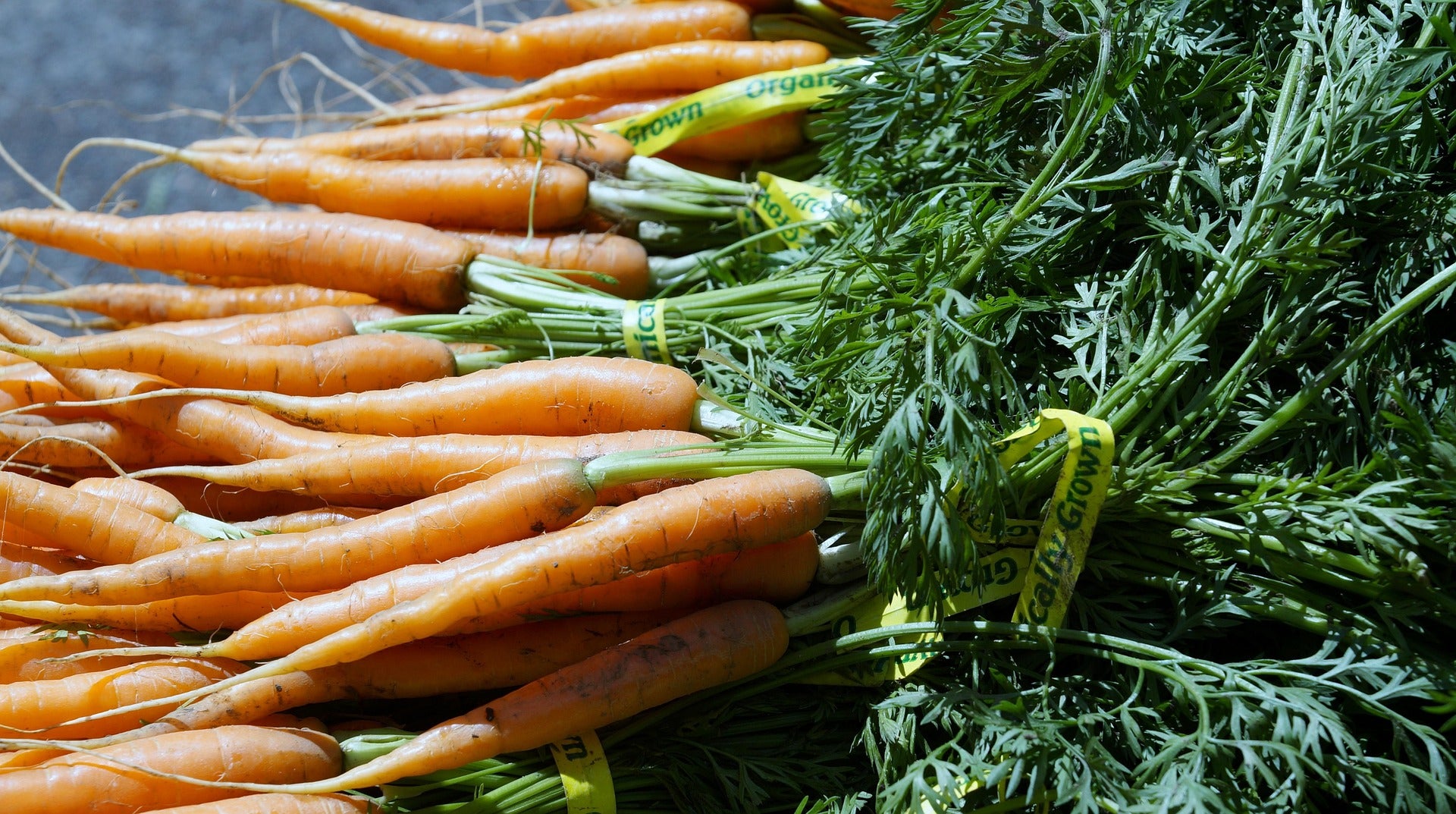 A close-up of fresh carrots with bright green tops, bundled with yellow paper bands, arranged on a dark surface.