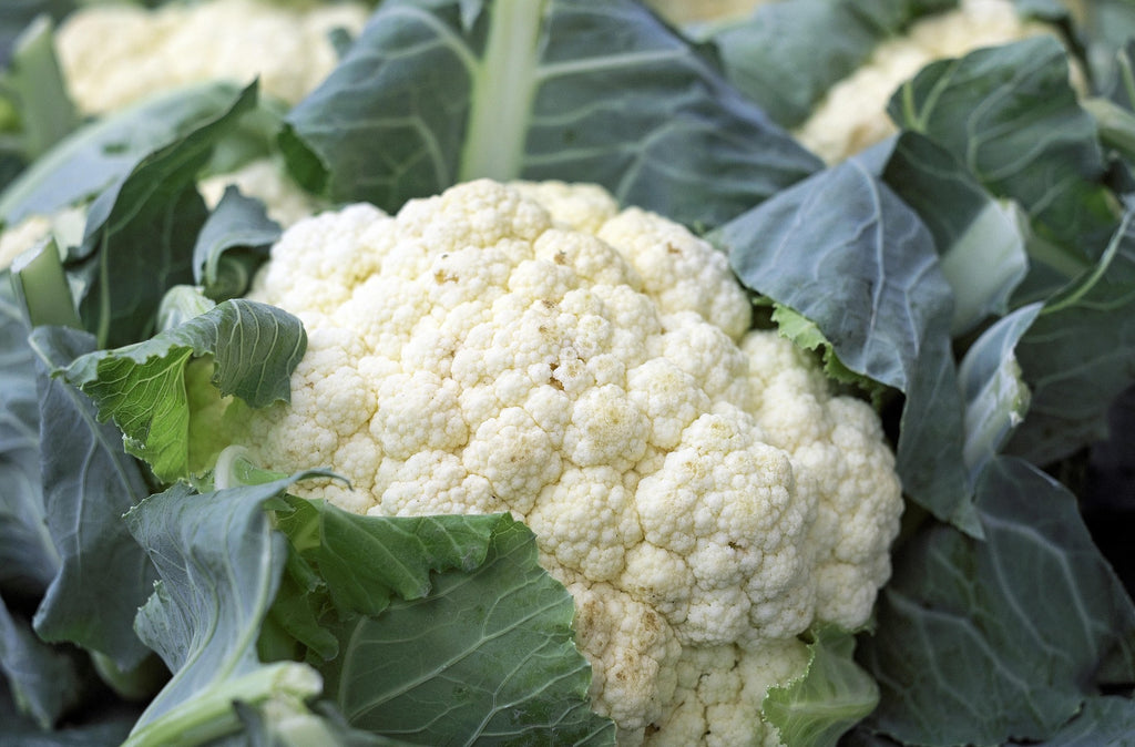 Close-up of a cauliflower head surrounded by green leaves