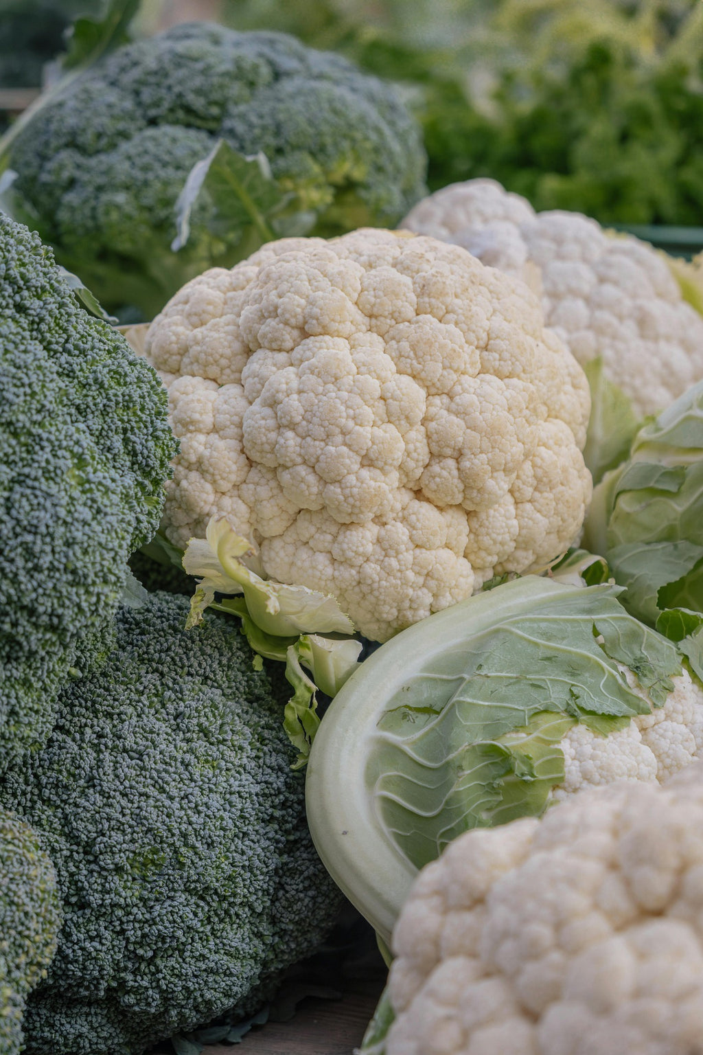 A close-up of fresh vegetables, featuring a large white cauliflower head in the center, a cut piece of green cabbage in the foreground, and several green broccoli florets in the background.