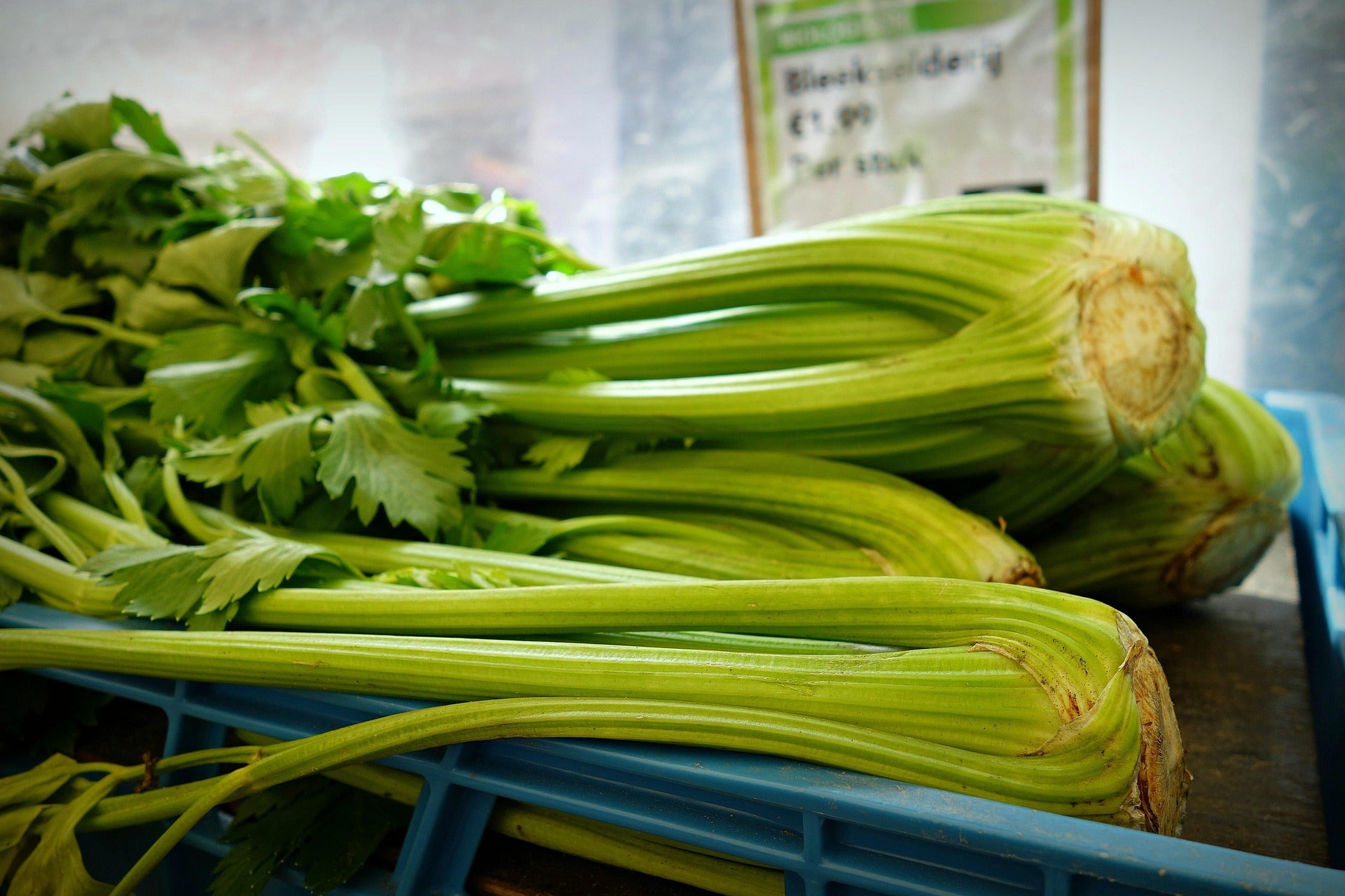 Fresh green celery stalks with leafy tops displayed in a blue crate at a market or grocery store, with a blurred sign in the background.