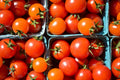 cherry tomatoes in boxes