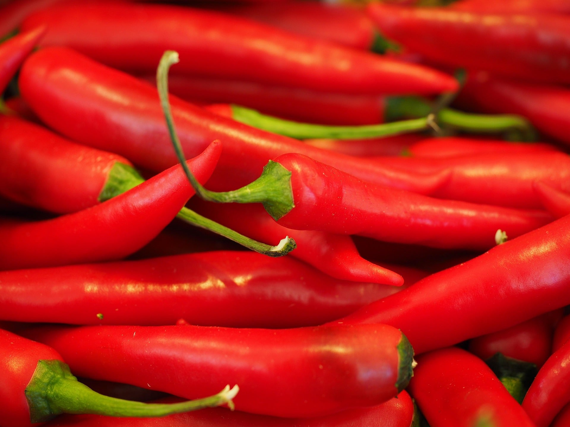 close up of red chillies