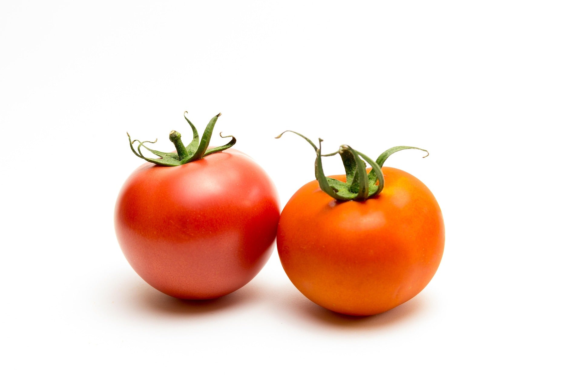 Two ripe red salad tomatoes from Conil with green stems, standing side by side on a clean white background.