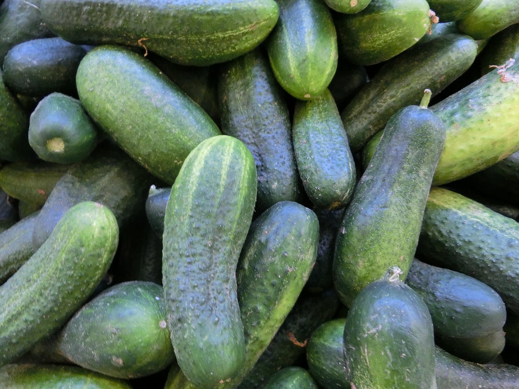 Stack of green cucumbers