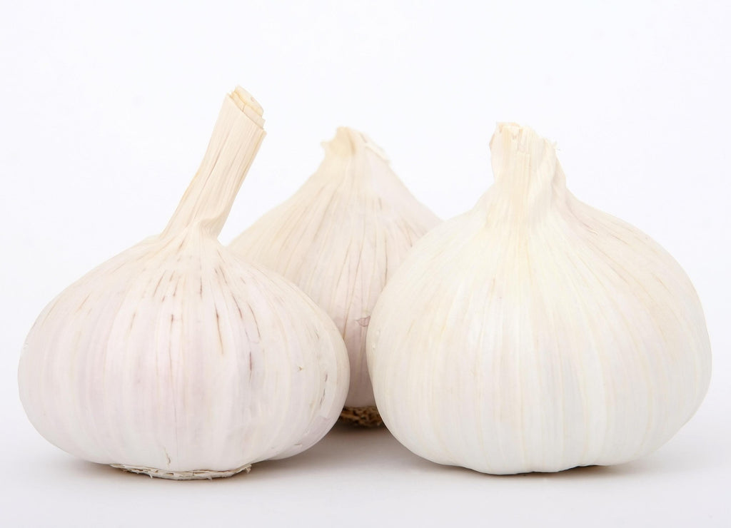 Three heads of garlic on a white background