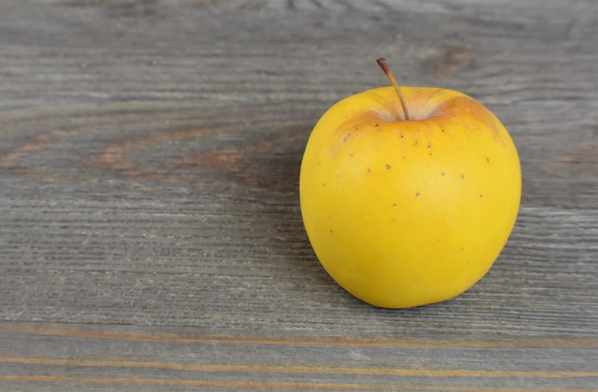 A single yellow golden apple with a small brown stem sits on a gray wooden surface.