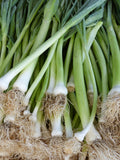 close up of leeks