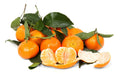 mandarins with leaves