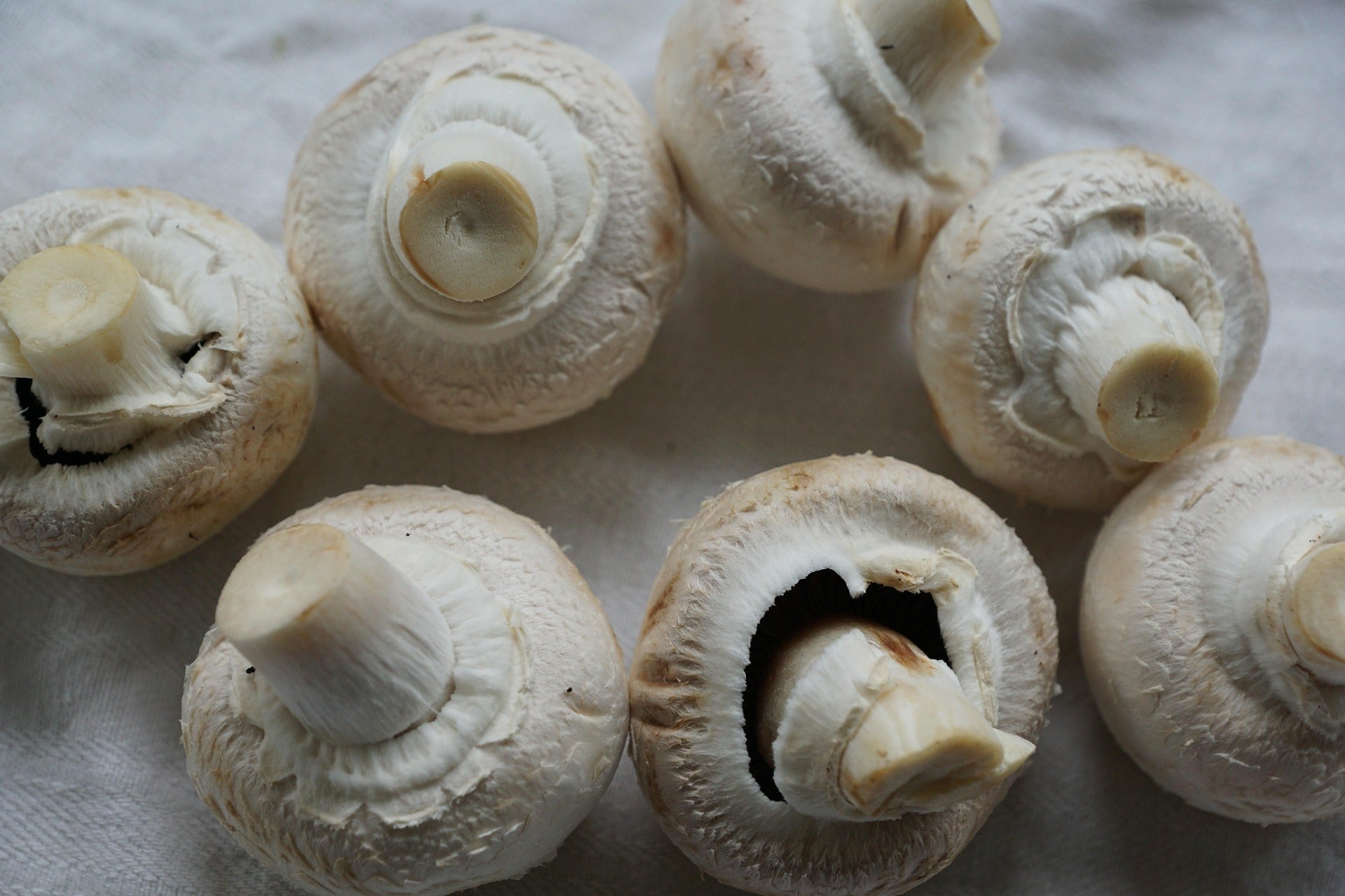 Six white button mushrooms arranged on a light fabric surface.