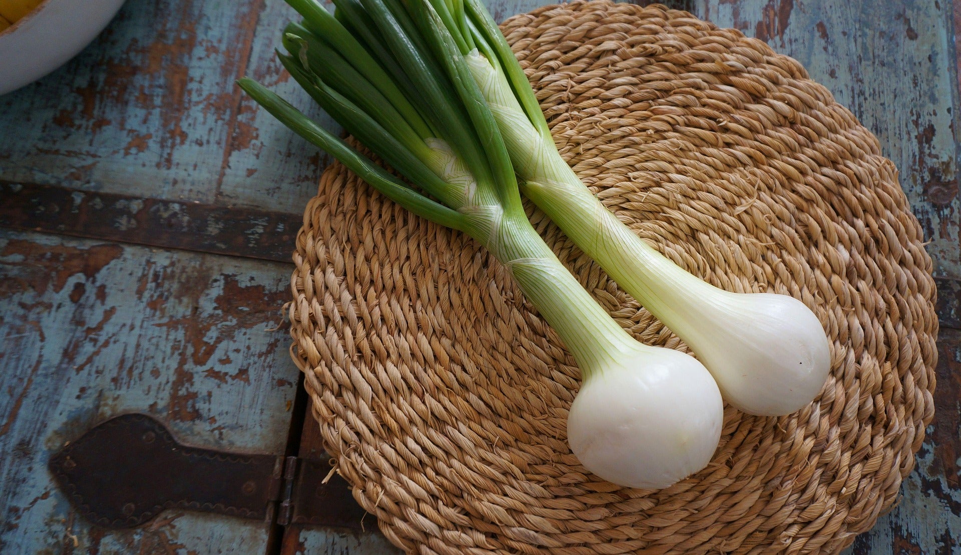 Large Spring Onion