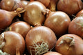 A close-up pile of whole yellow onions with golden-brown papery skins and a few dried green roots visible.