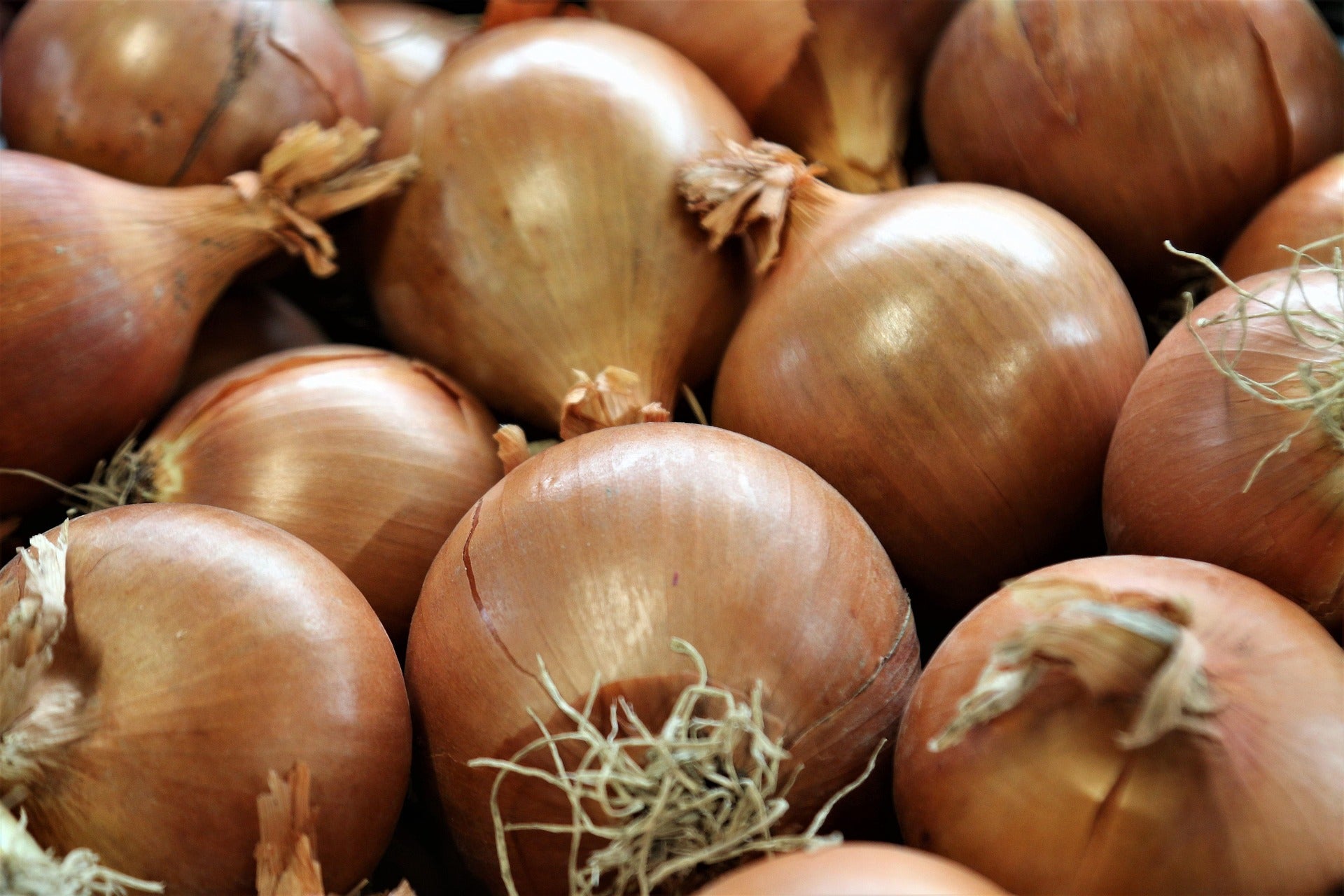 A close-up pile of whole yellow onions with golden-brown papery skins and a few dried green roots visible.