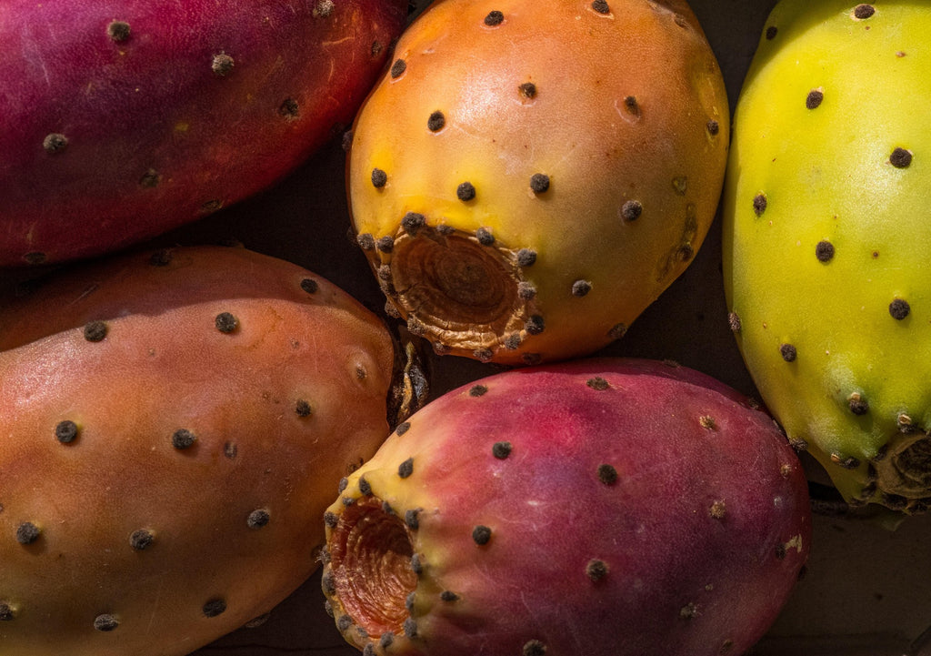 Close-up of several prickly pear cacti fruits with dark spines, showing red, orange, and yellow tones on a dark background.