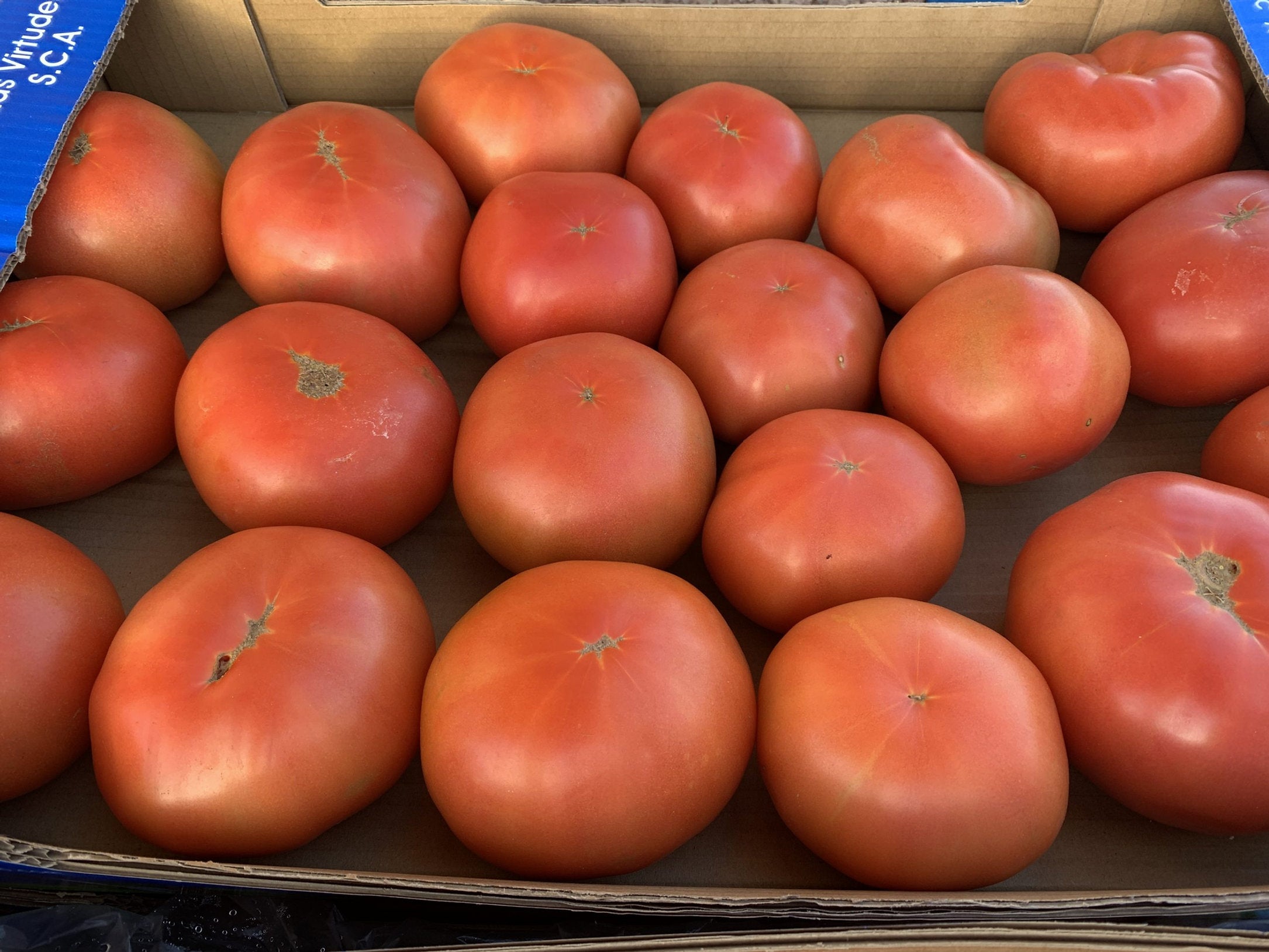 A close-up view of many red tomatoes packed inside a cardboard shipping box.
