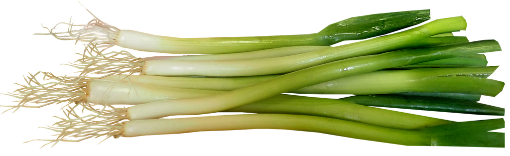 A pile of fresh green onions with white bulbs and long green stalks, shown on a plain white background.