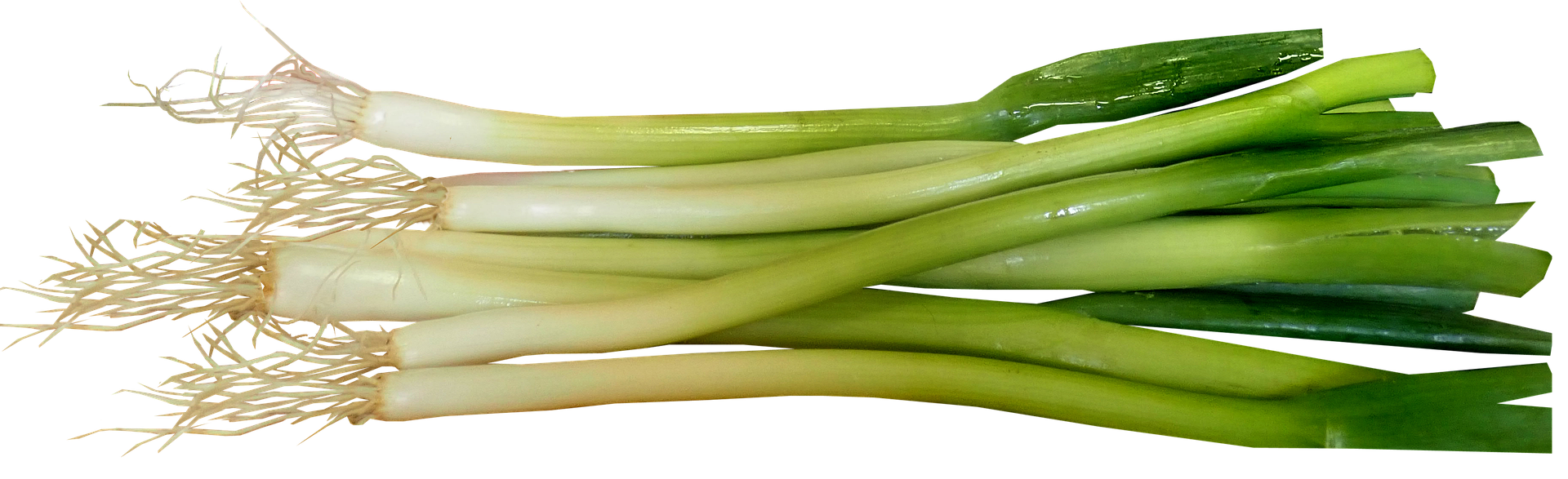 A pile of fresh green onions with white bulbs and long green stalks, shown on a plain white background.