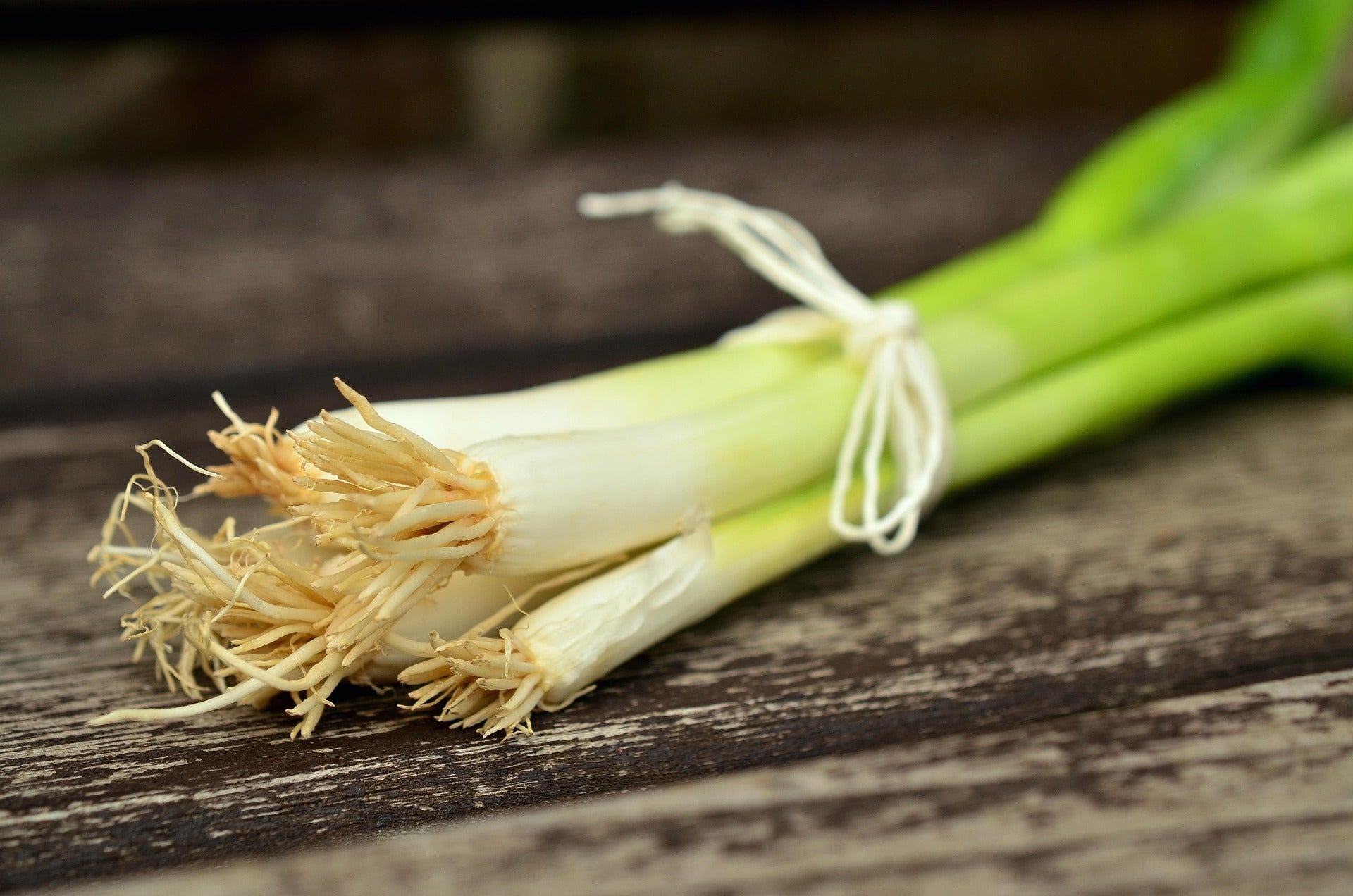 A small bunch of green spring onions tied with white string, resting on a rustic dark wooden surface.