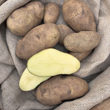 Raw brown potatoes, including one cut open to show the pale yellow flesh, arranged on a textured beige burlap fabric.