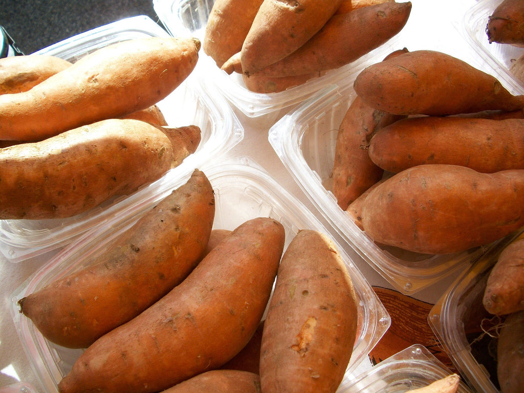 Several sweet potatoes arranged in clear plastic clamshell containers on a white surface.