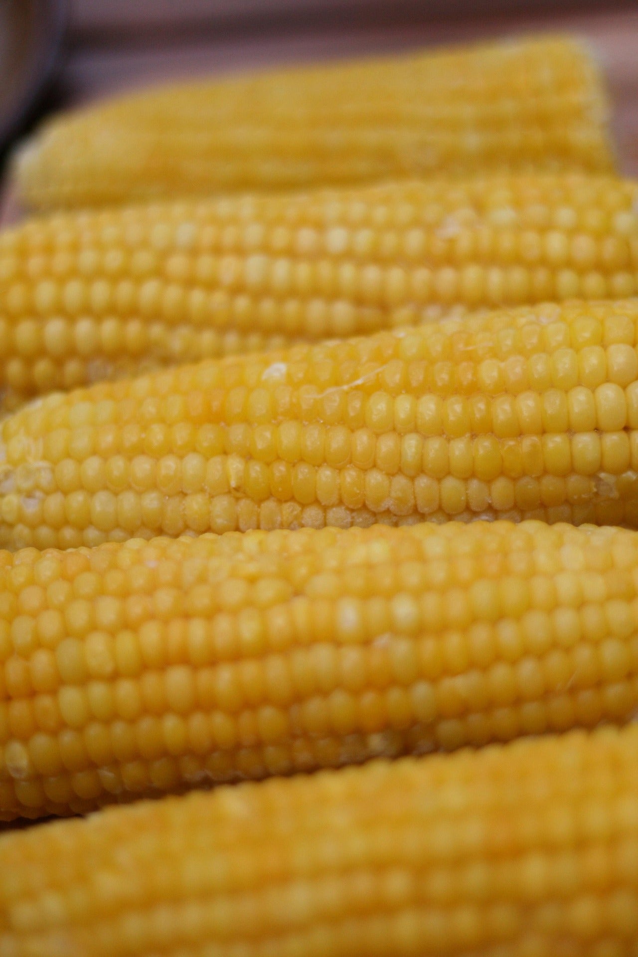close up of sweetcorns 