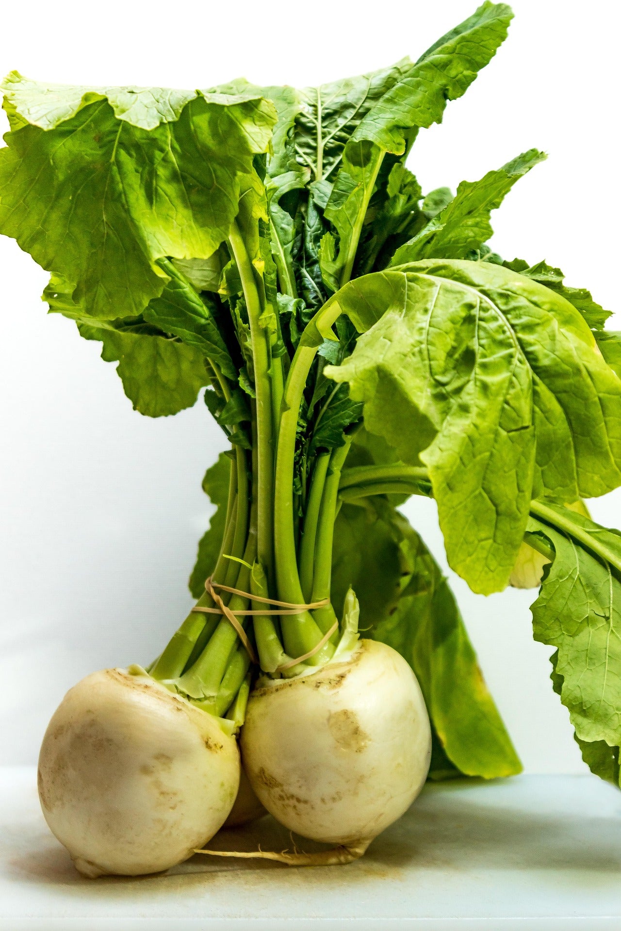 Fresh Turnip