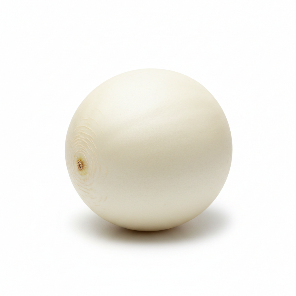 White Melon - White Background